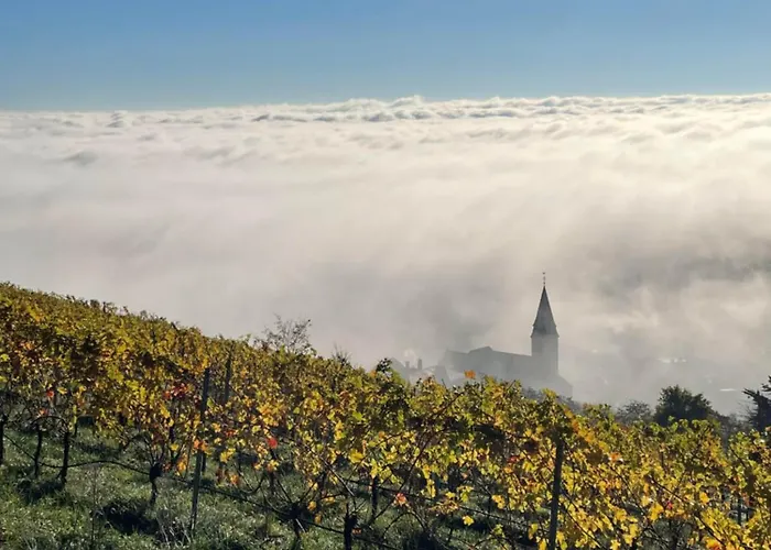 Panorama Deluxe Daire